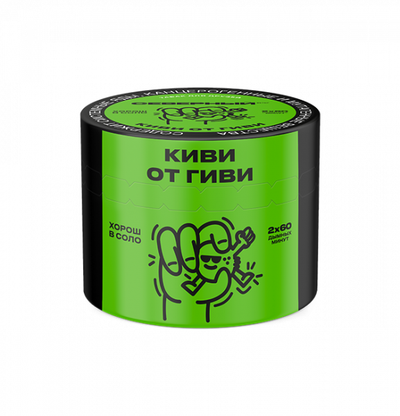 Ветер Северный 40гр (Киви от Гиви)_пластик